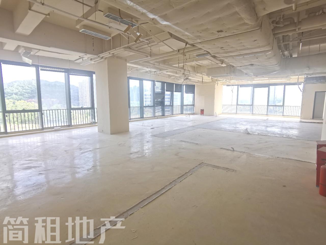 毛坯 可定制装修 带上下水 近地铁口 金迪世纪大厦