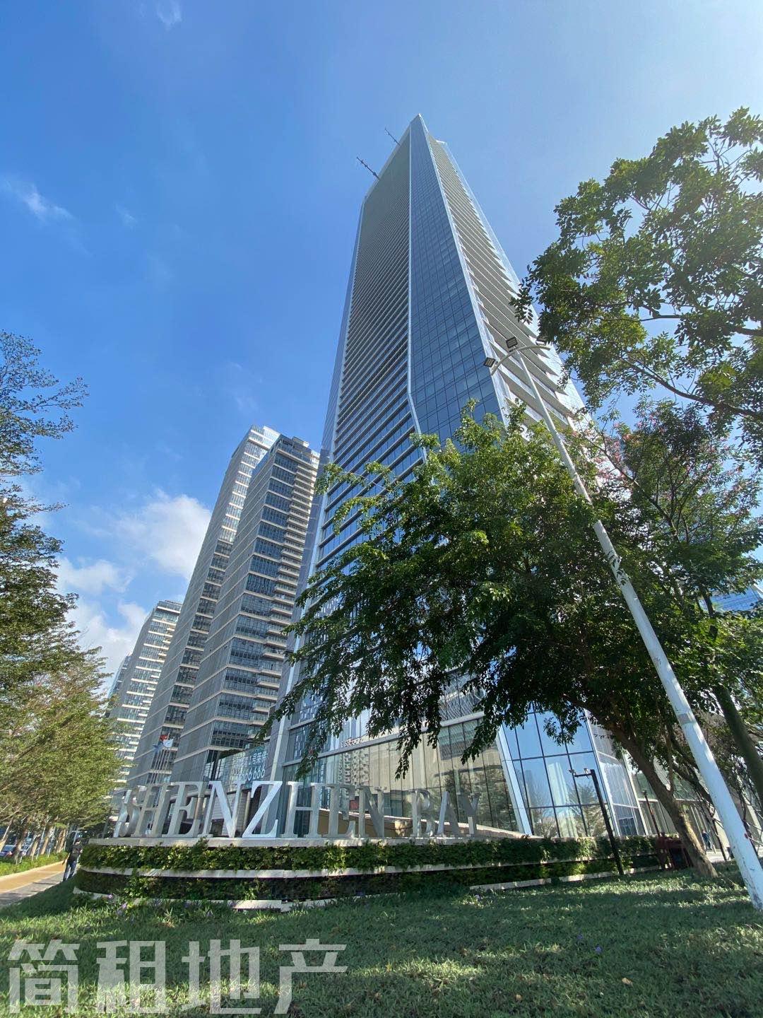 享公共配套 带家具 地标建筑 高端物业 深圳湾一号