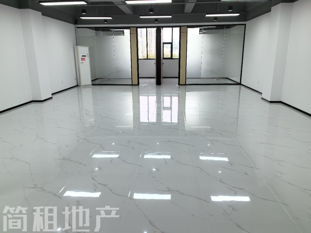 大小均有 全新装修 明亮科技园 双地铁 带公共配套