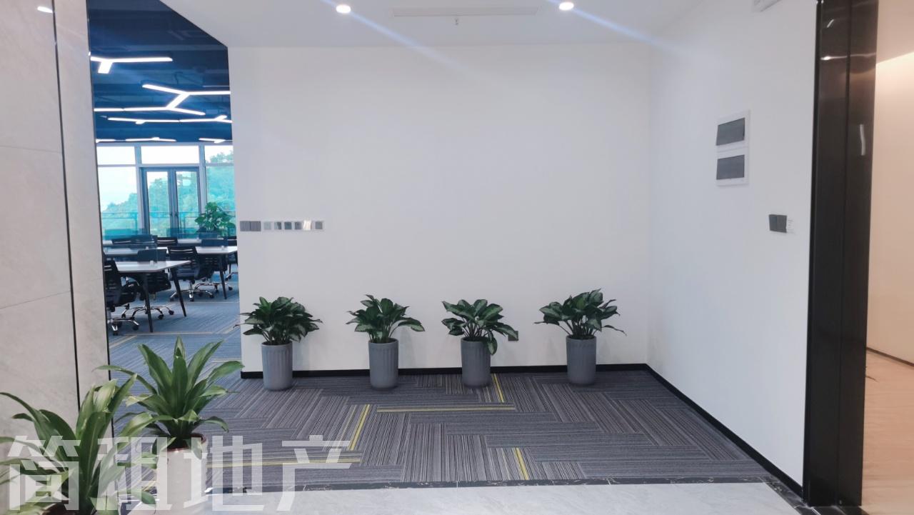 可红本备案 碧桂园凤凰智谷精装486平带全套家私 独立阳台_简租地产