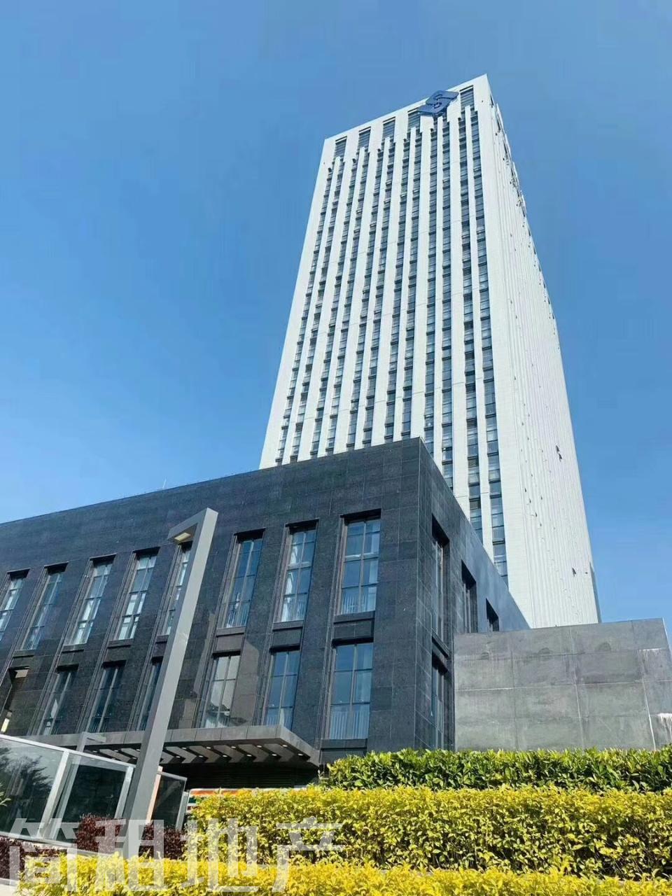 小户型可选 国民技术大厦 甲级楼 带公共配套