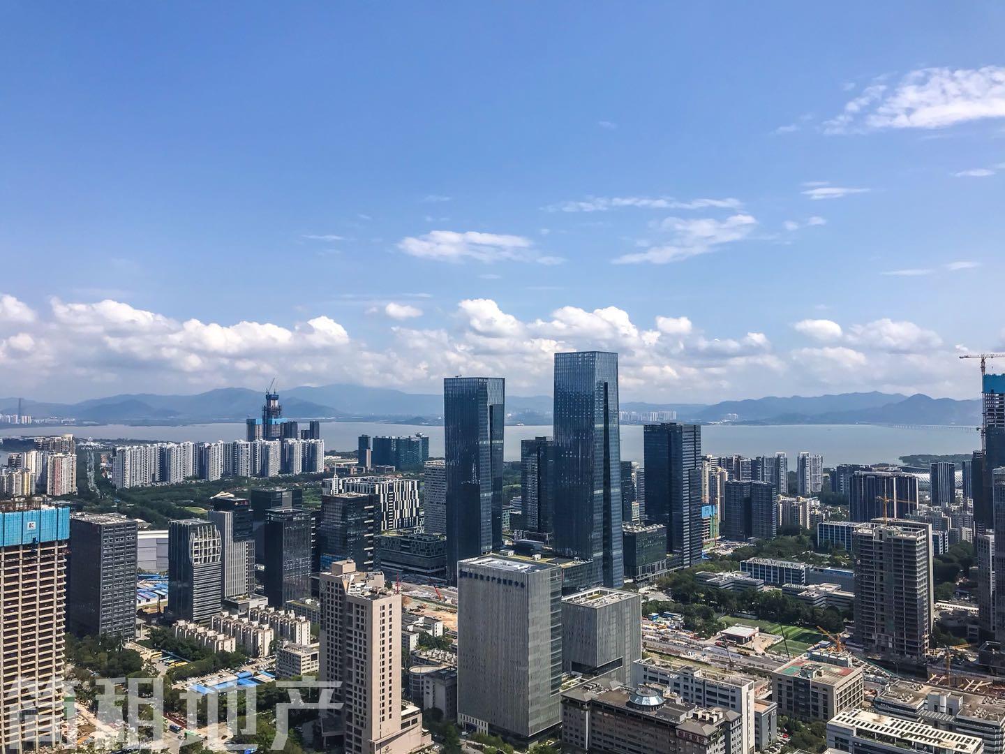 毛坯整层 大小可分 深铁金融科技大厦 国企物业 一手直租