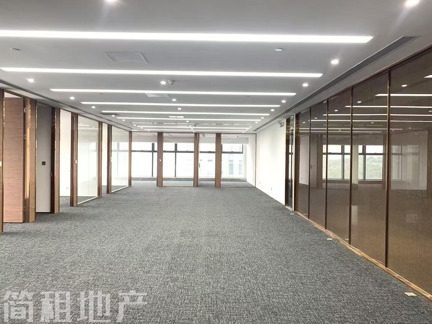 毗邻少年宫 福田中心 生命保险大厦 精装617平 7+1格局 电梯口