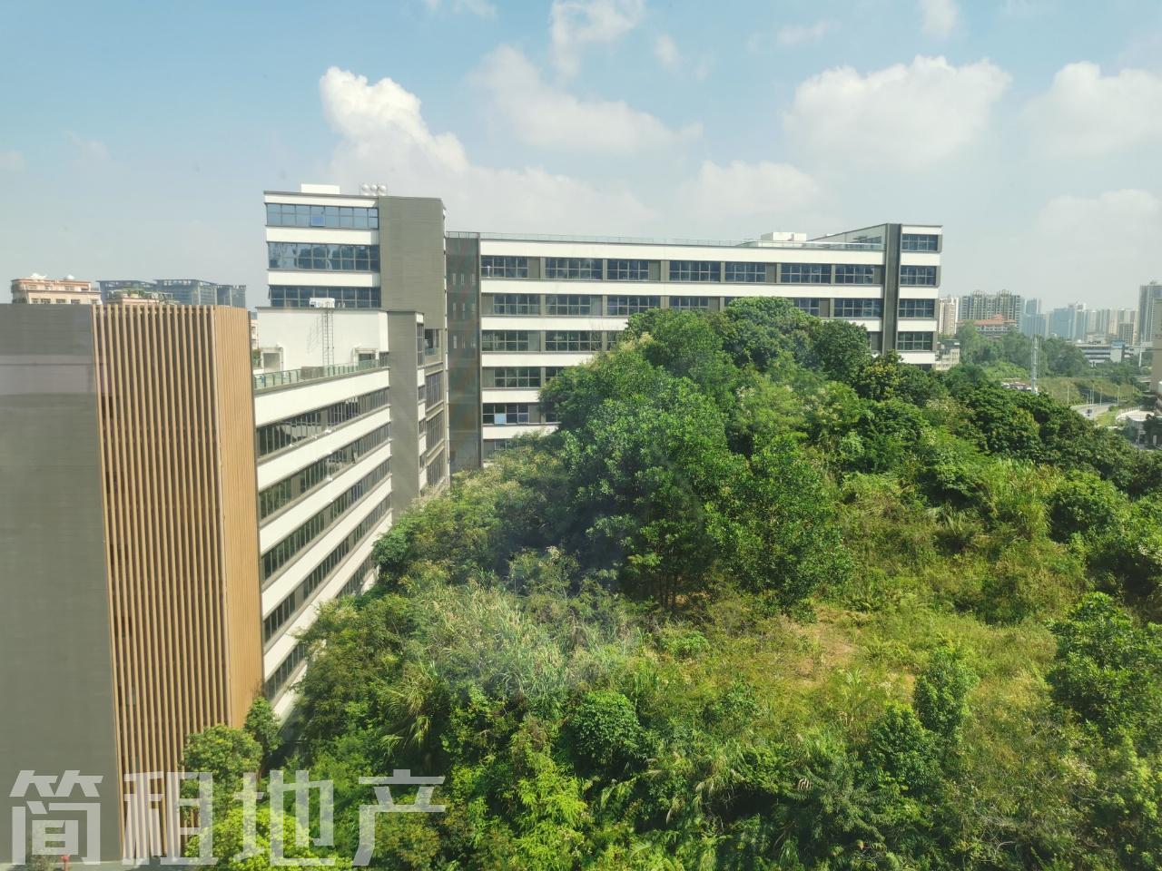 5号线坂田地铁口，百旺达智能园200平-3000平，可定制，另有独栋