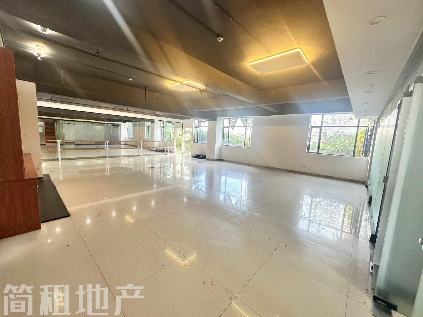 龙华大浪 油松科技大厦 精装246平 2个隔间 赠送达阳台 带上下水