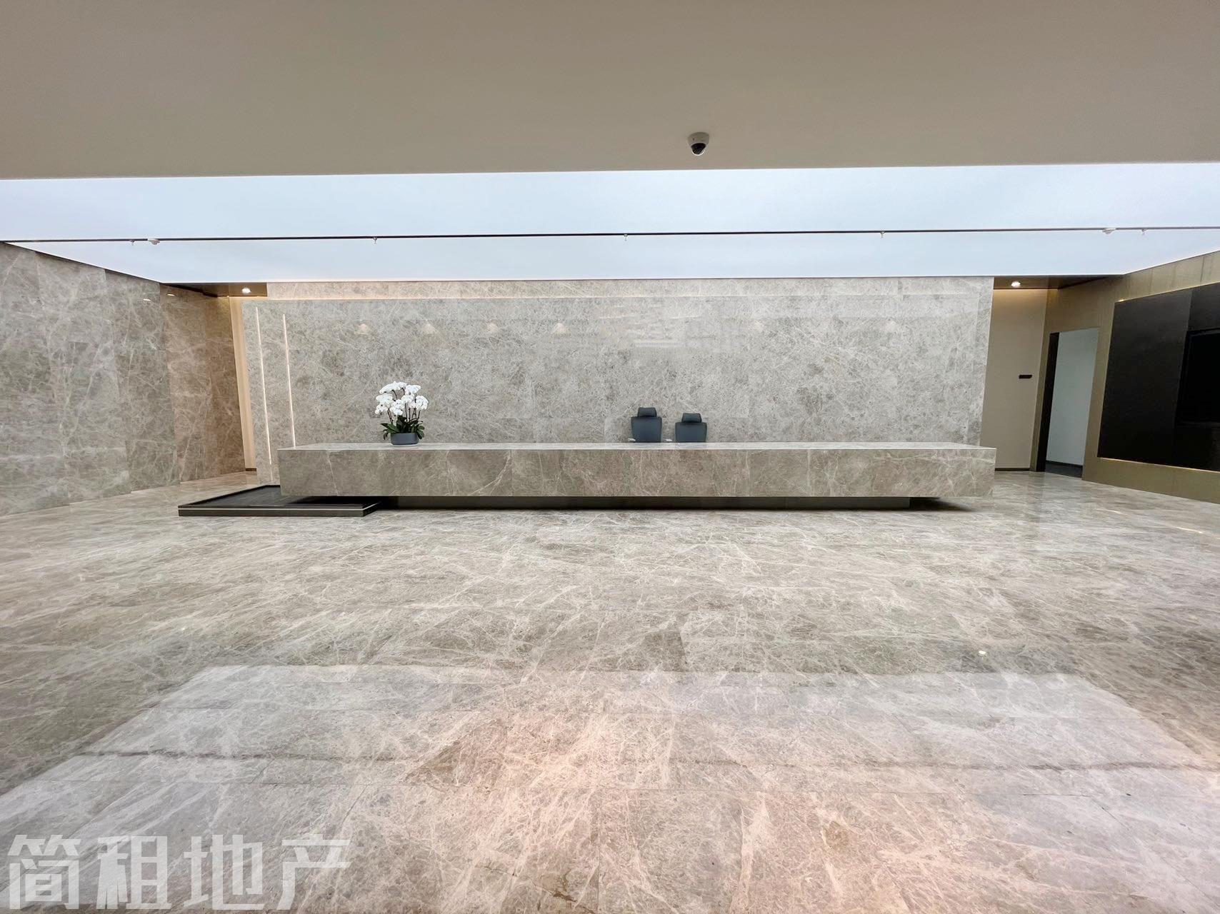豪华装修 电梯口 性价比高 前海鸿荣源中心